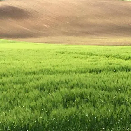 Hébergement de vacances Havre De Paix Dans Le Jura Alsacien Avec Piscine Privée Externe De Mai à Septembre Bendorf