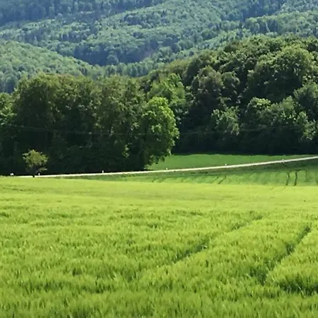 Hébergement de vacances Havre De Paix Dans Le Jura Alsacien Avec Piscine Privée Externe De Mai à Septembre *
