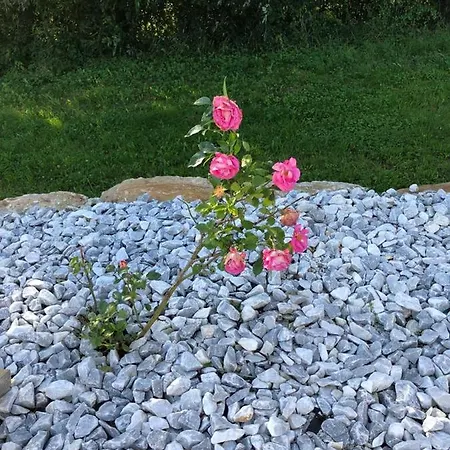 Havre De Paix Dans Le Jura Alsacien Avec Piscine Privée Externe De Mai à Septembre *